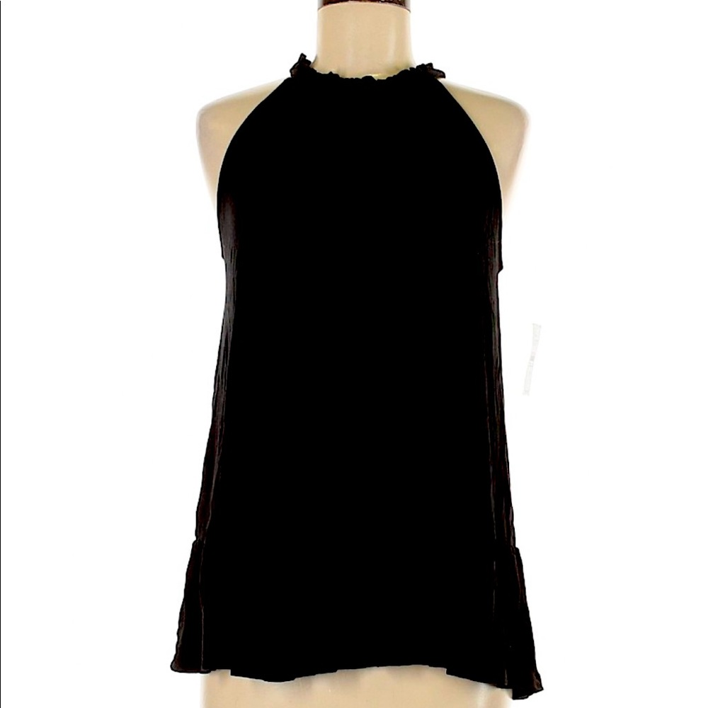 Ann Taylor sheer blouse sleeveless